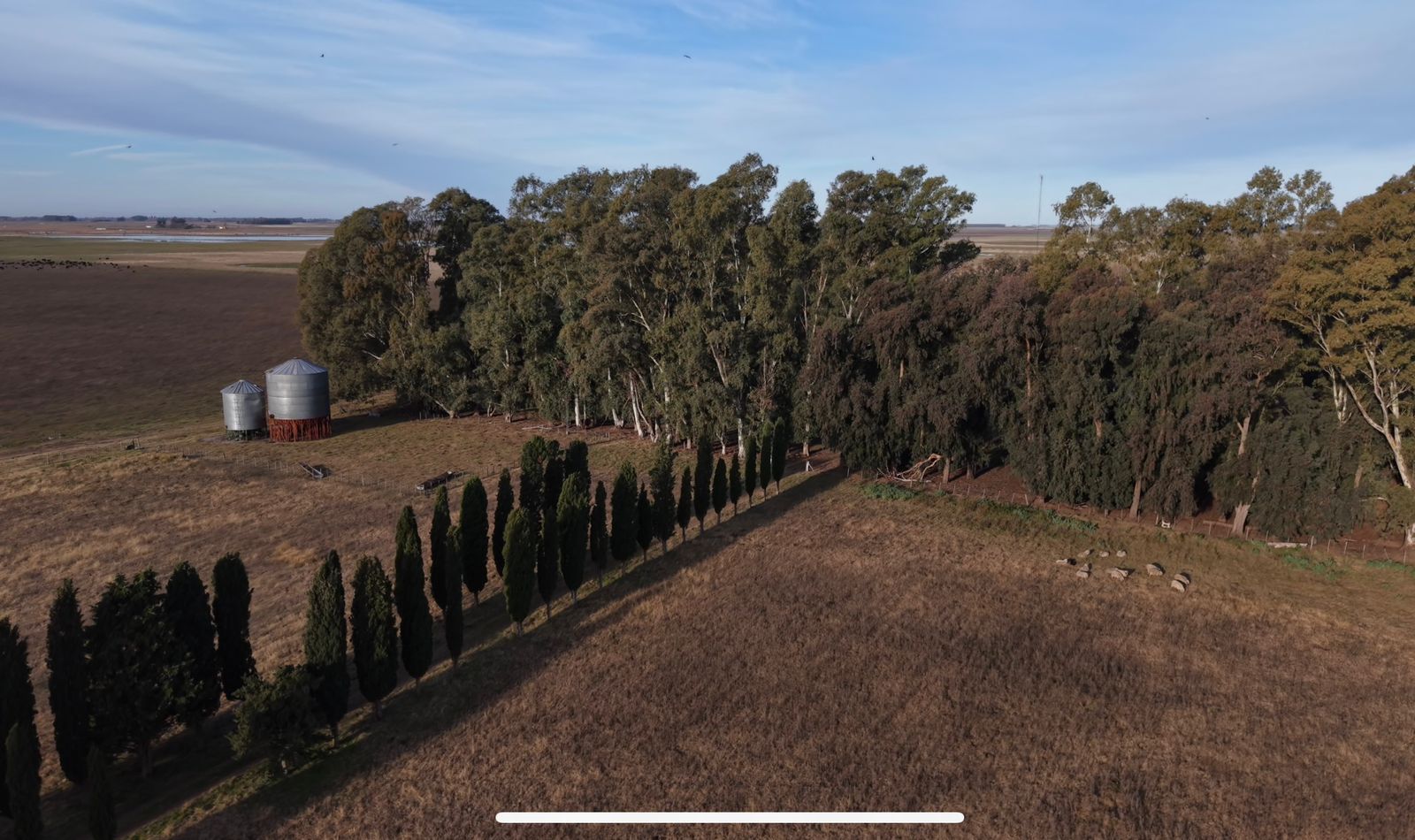 381 hectáreas mixtas - Partido de 25 de Mayo